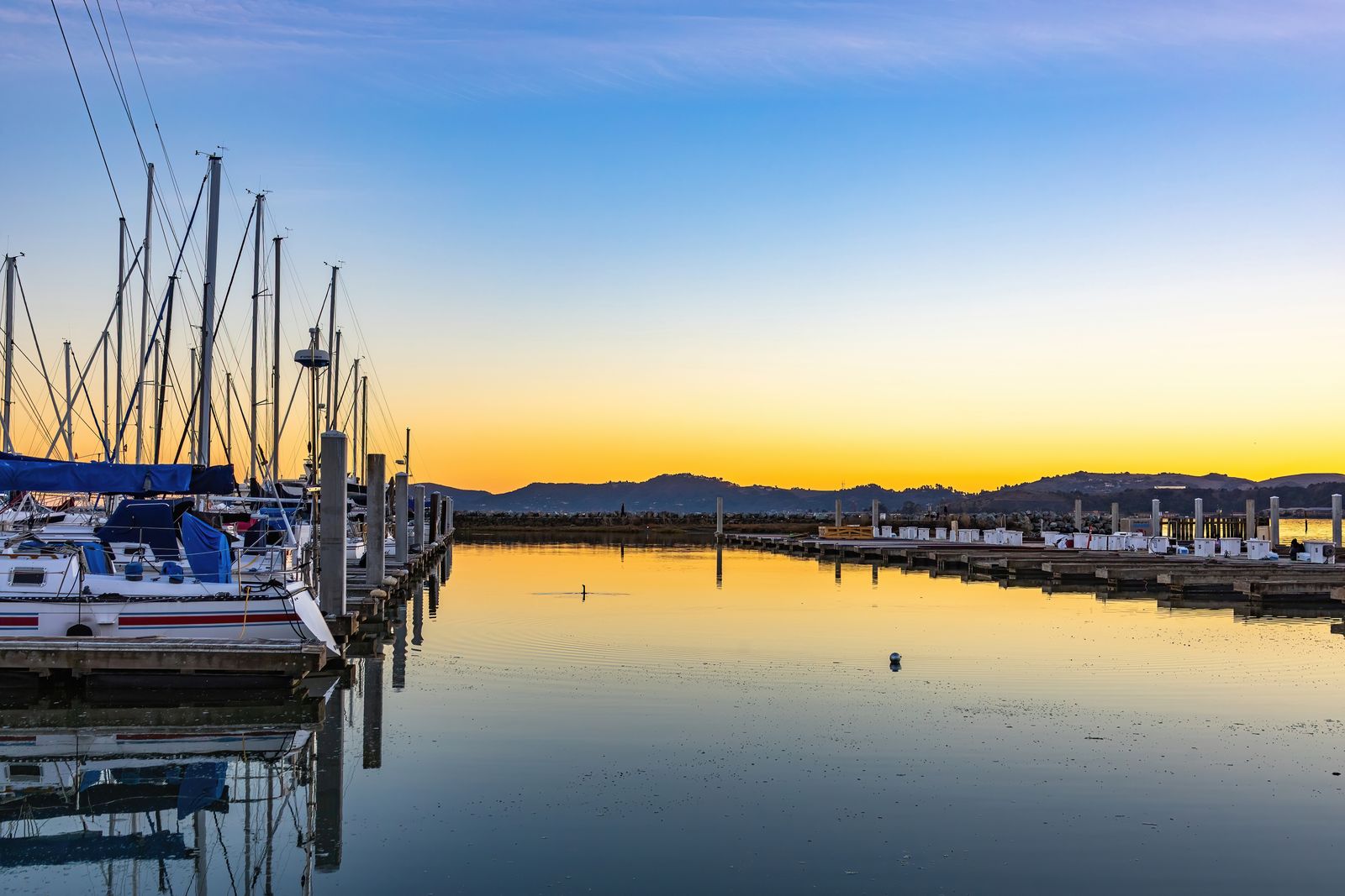 Marina de Cabo San Lucas