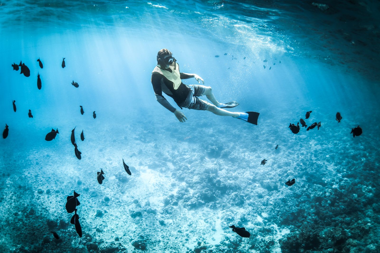 Pesca deportiva